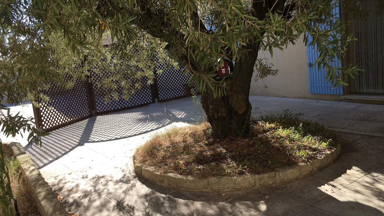 Photo of Outdoor in Aubignan