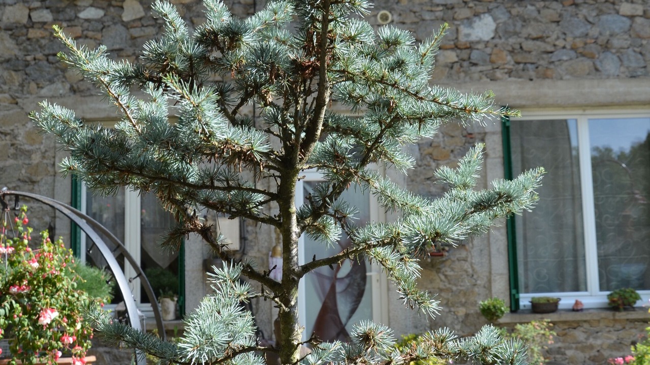 Photo of Outdoor in Olliergues