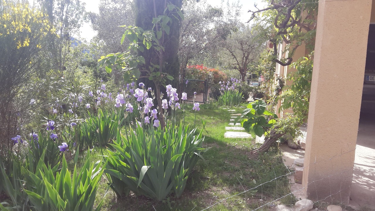 Photo of Outdoor in Buis-les-Baronnies