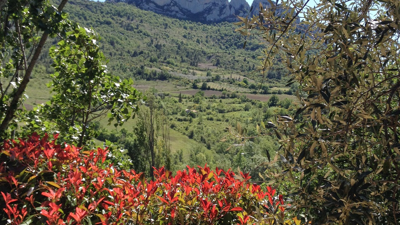 Photo of Outdoor in Buis-les-Baronnies