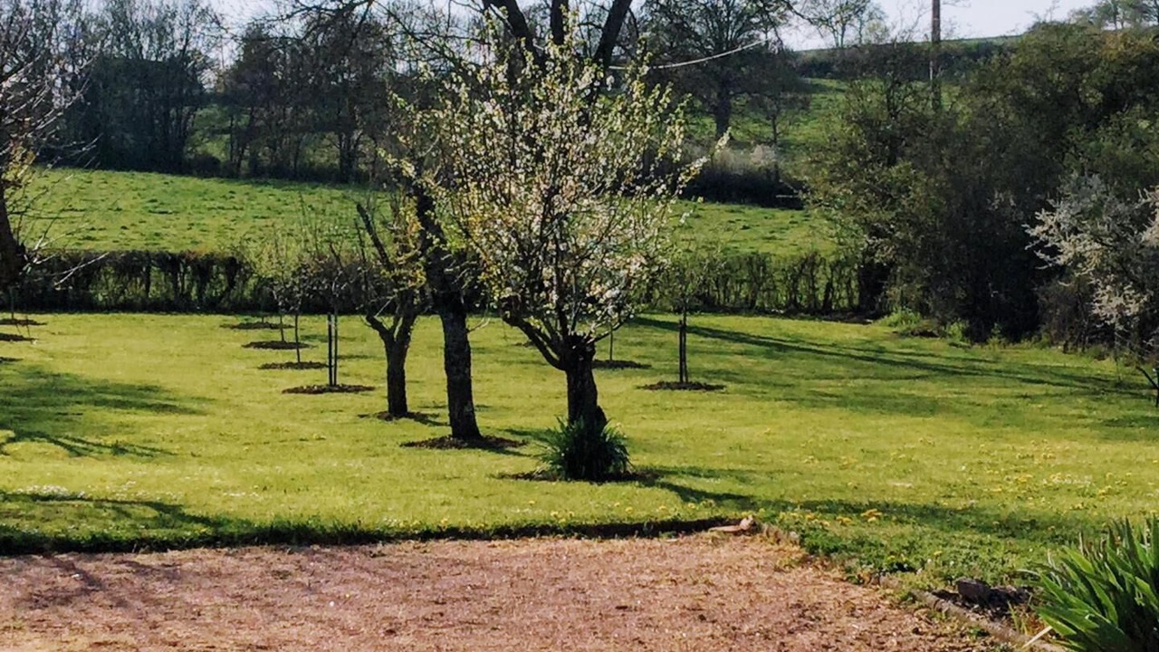 Photo of Outdoor in Vendenesse-les-Charolles