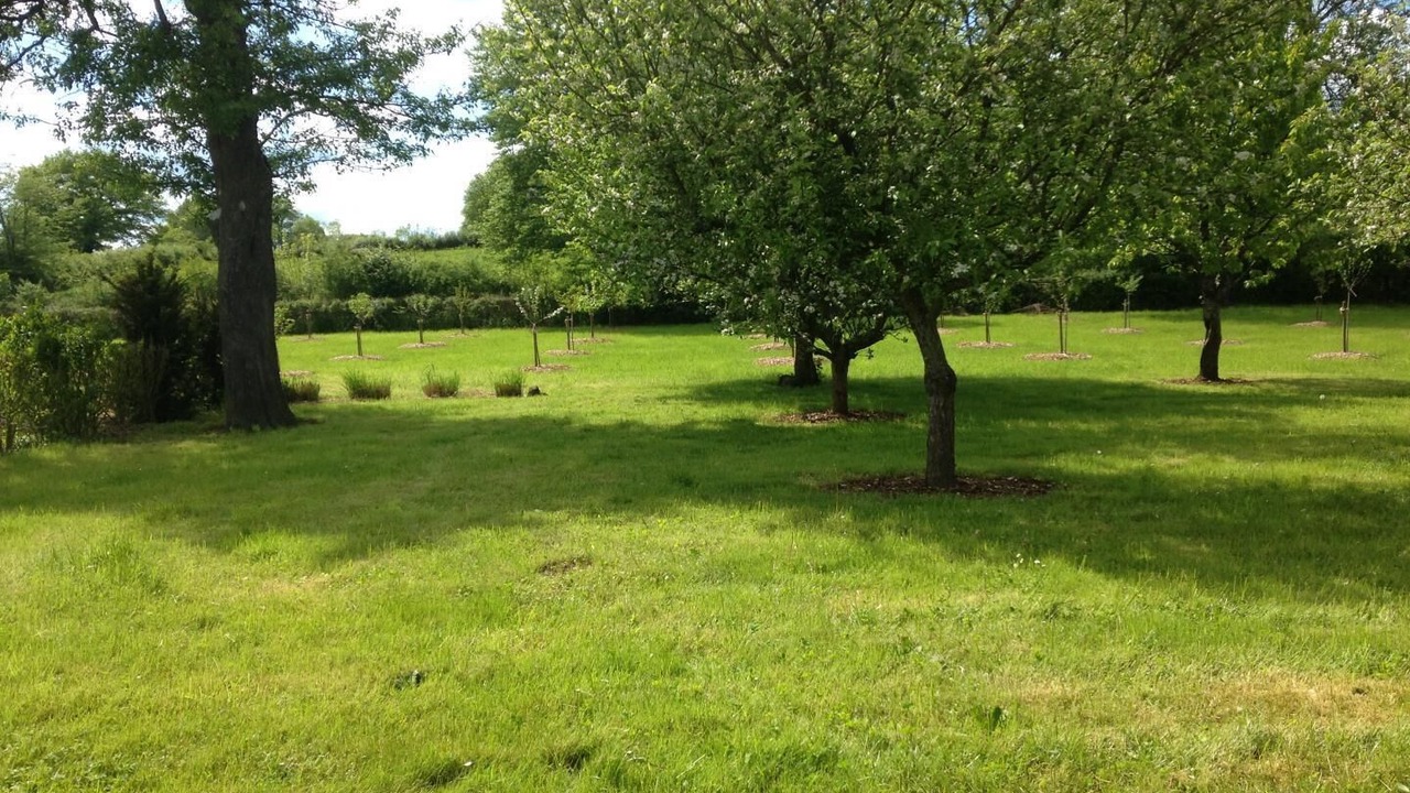 Photo of Outdoor in Vendenesse-les-Charolles