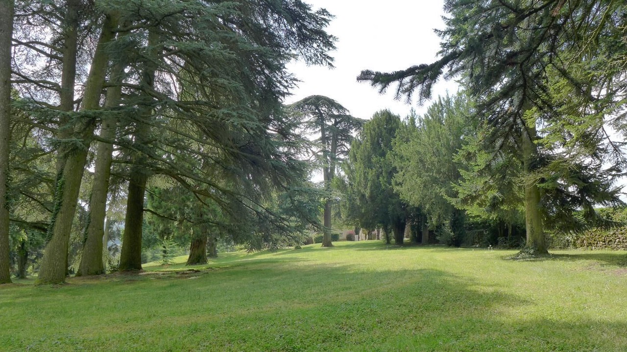 Photo of Outdoor in Berze-le-Chatel