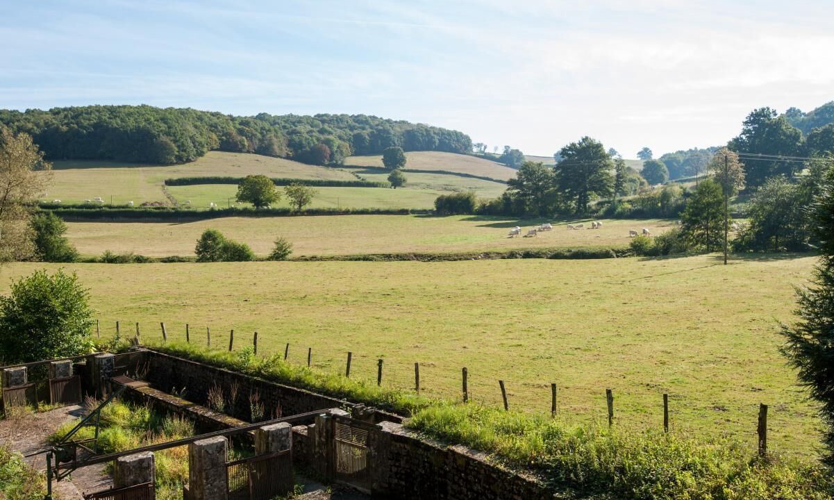 Photo of Outdoor in Saint-Didier-sur-Arroux