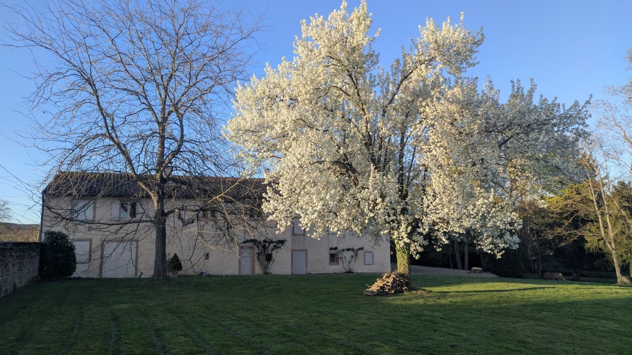 Photo of Outdoor in Prisse