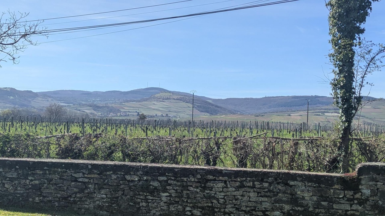 Photo of Others in Prisse