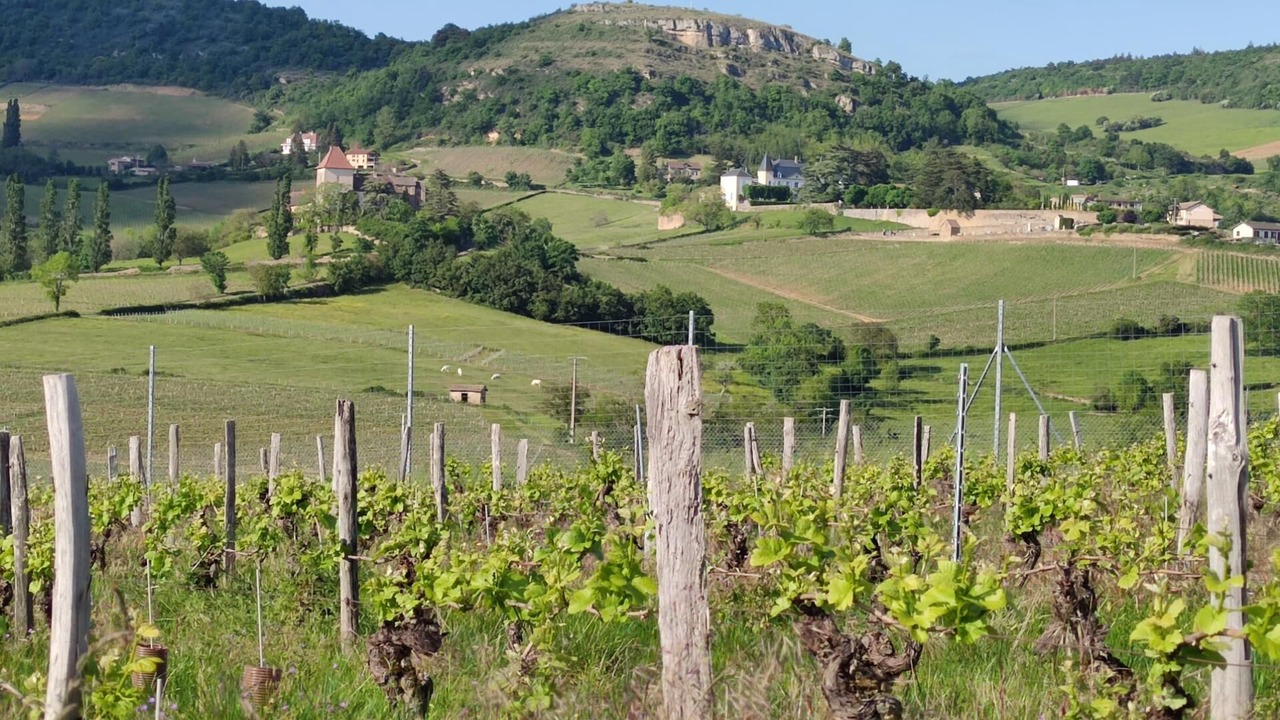 Photo of Outdoor in Prisse