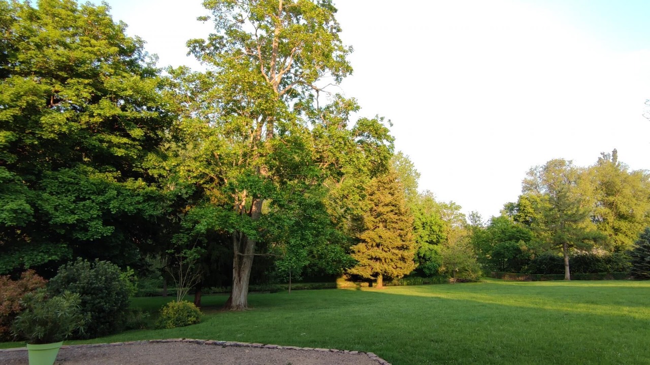 Photo of Outdoor in Prisse