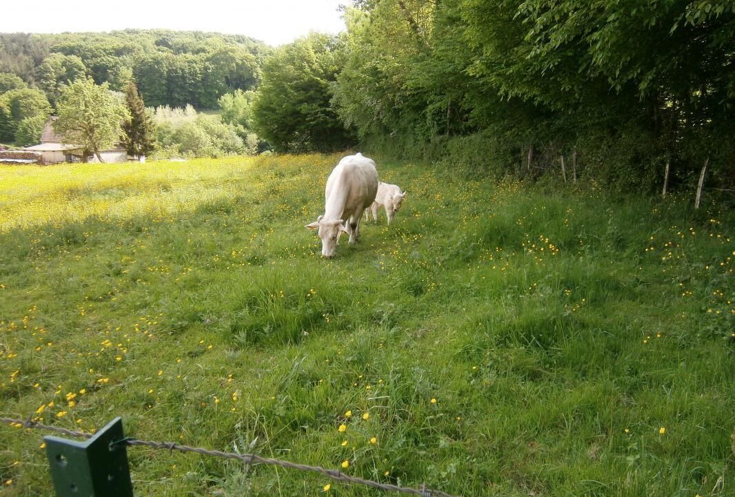 Photo of Outdoor in Vareilles