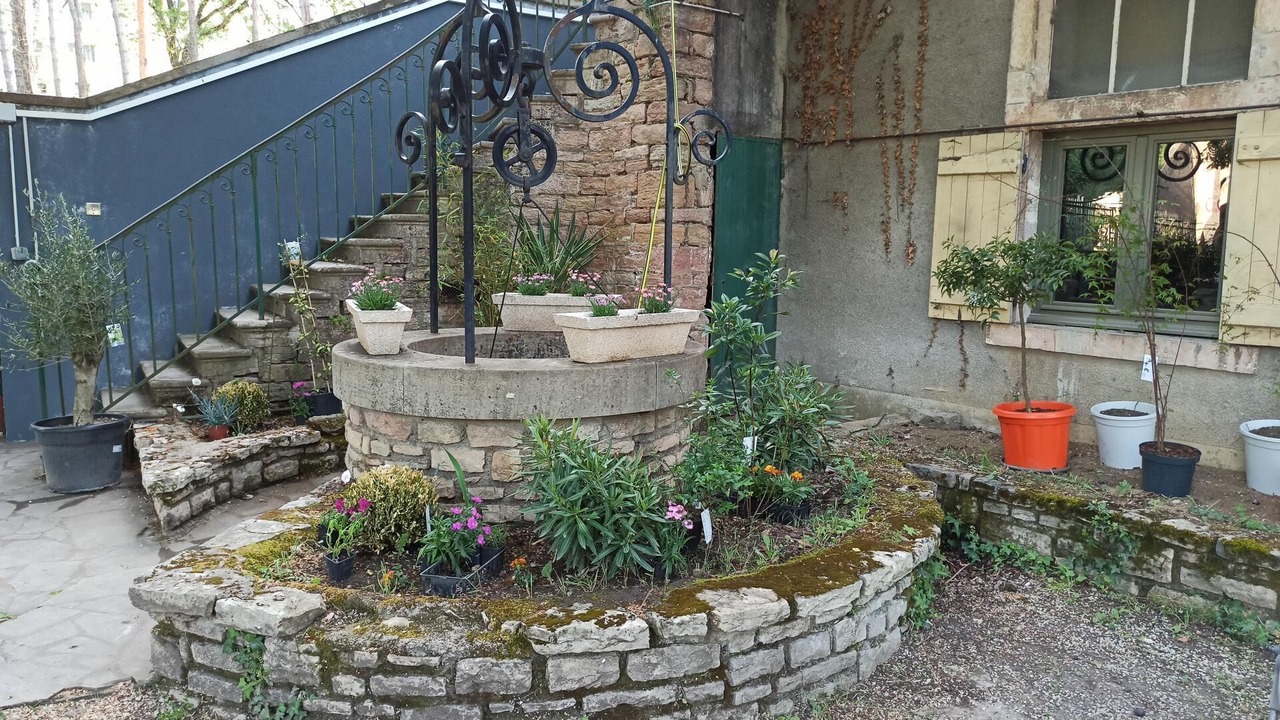 Photo of Outdoor in Tournus
