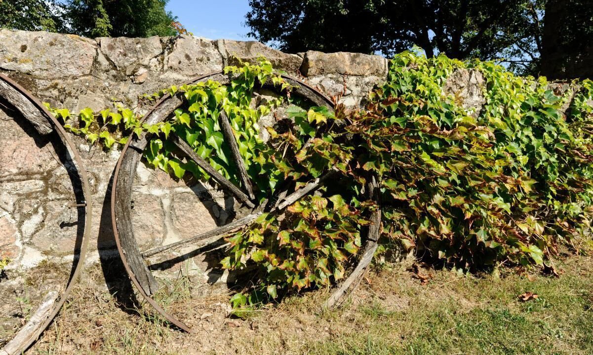 Photo of Outdoor in Verosvres