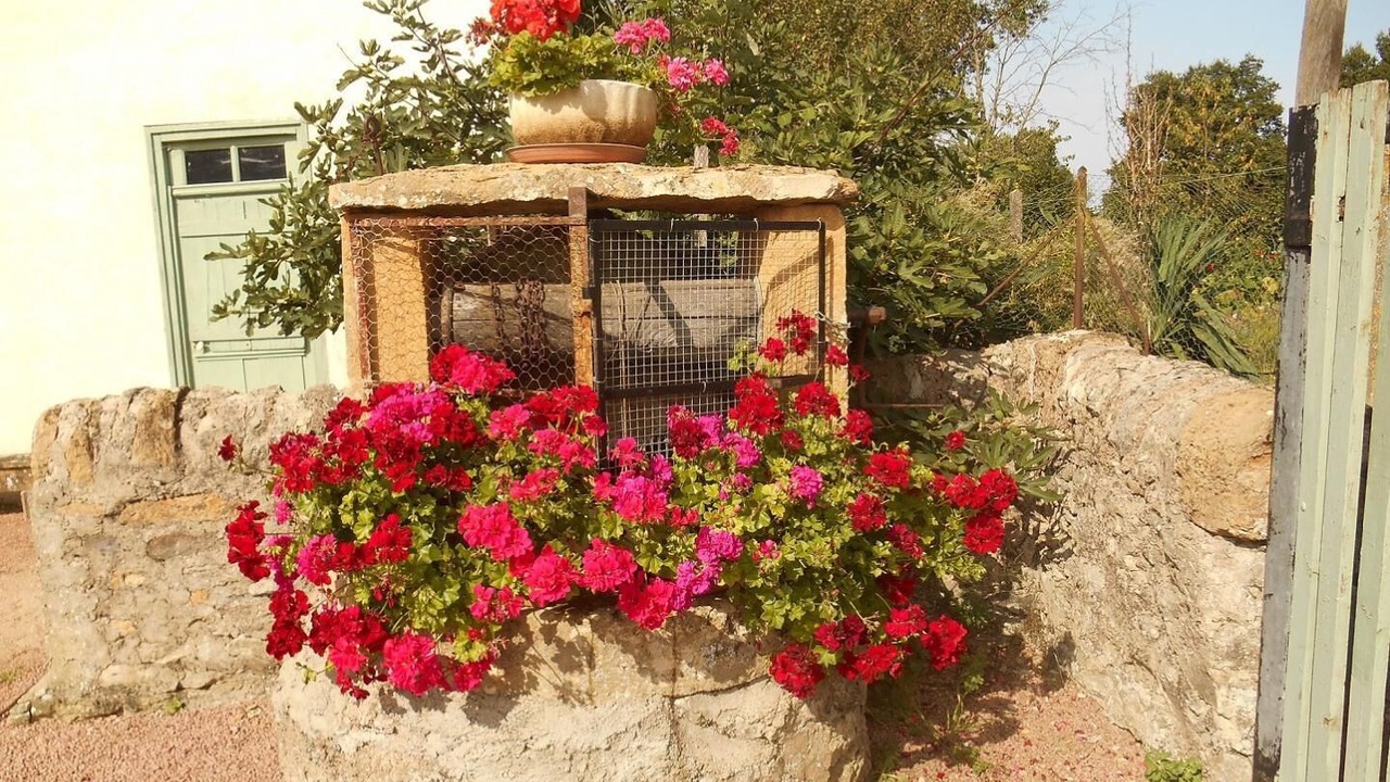 Photo of Outdoor in Vendenesse-les-Charolles