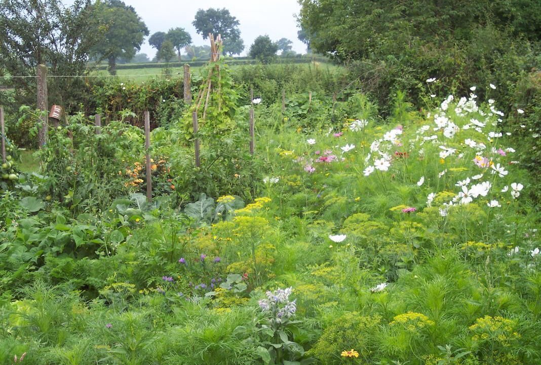 Photo of Outdoor in Vendenesse-les-Charolles