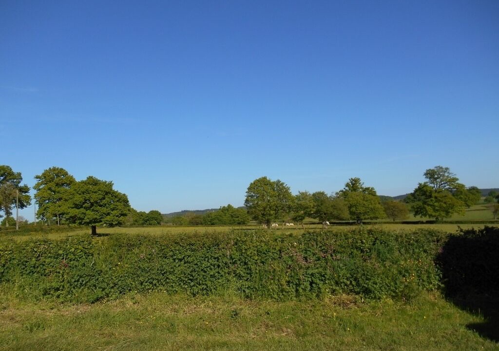 Photo of Outdoor in Vendenesse-les-Charolles