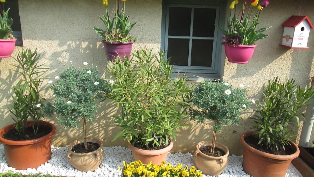 Photo of Outdoor in Charolles