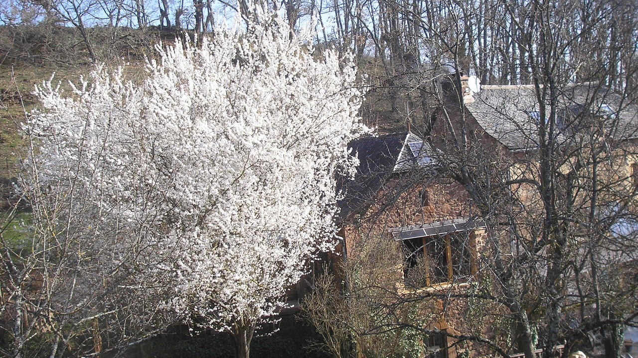 Photo of Outdoor in Goutrens