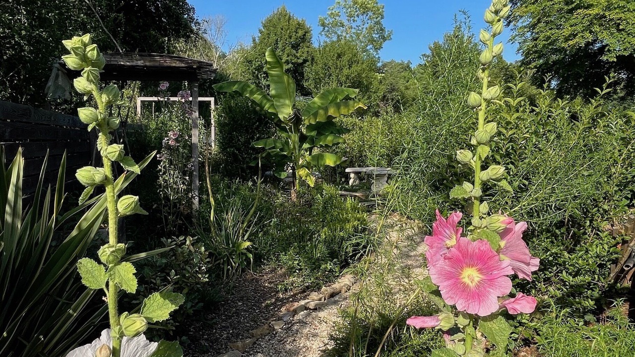 Photo of Outdoor in Fontenay-pres-Vezelay