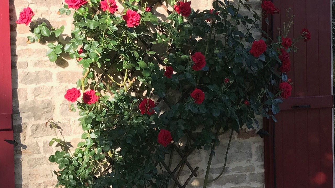 Photo of Outdoor in Allerey-sur-Saone