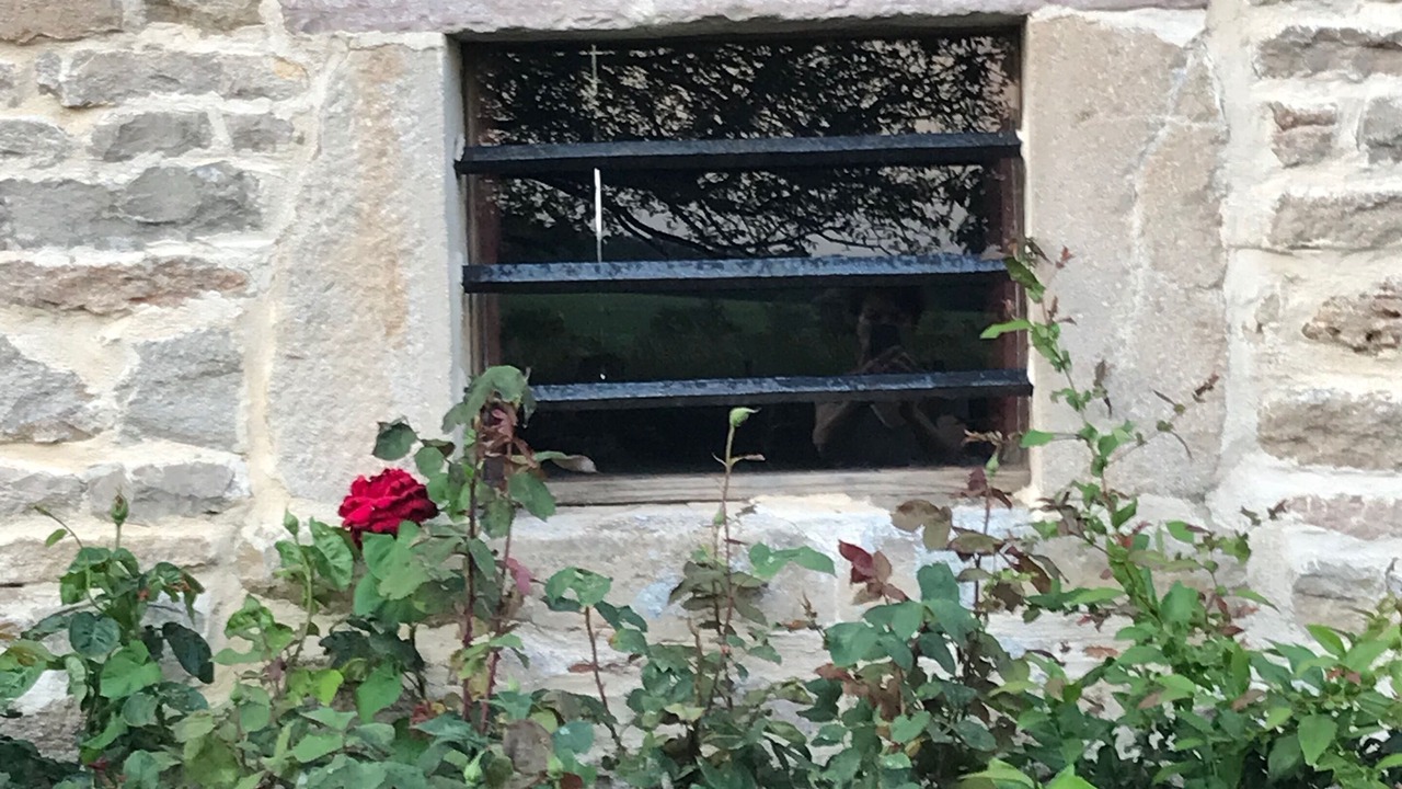 Photo of Outdoor in Allerey-sur-Saone