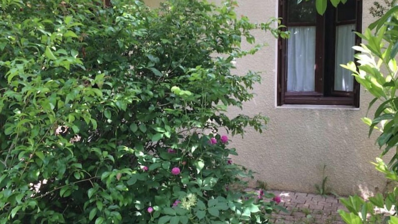 Photo of Outdoor in Bard-le-Regulier