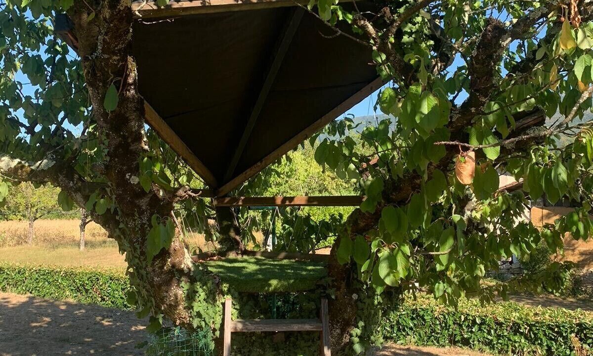 Photo of Outdoor in Teche