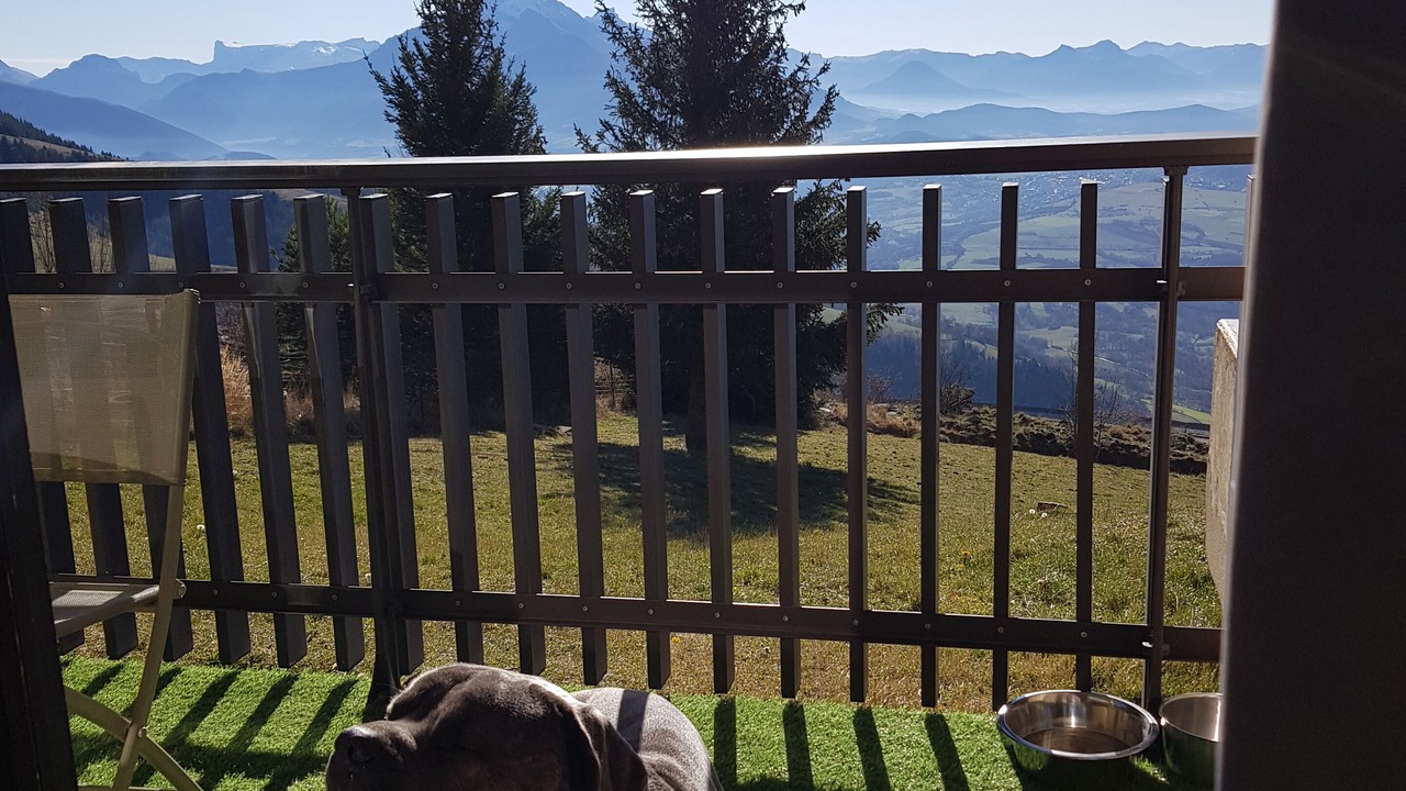Photo of Outdoor in Saint-Honore