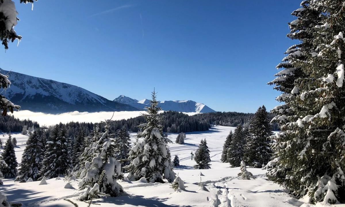 Photo of Others in Chamrousse