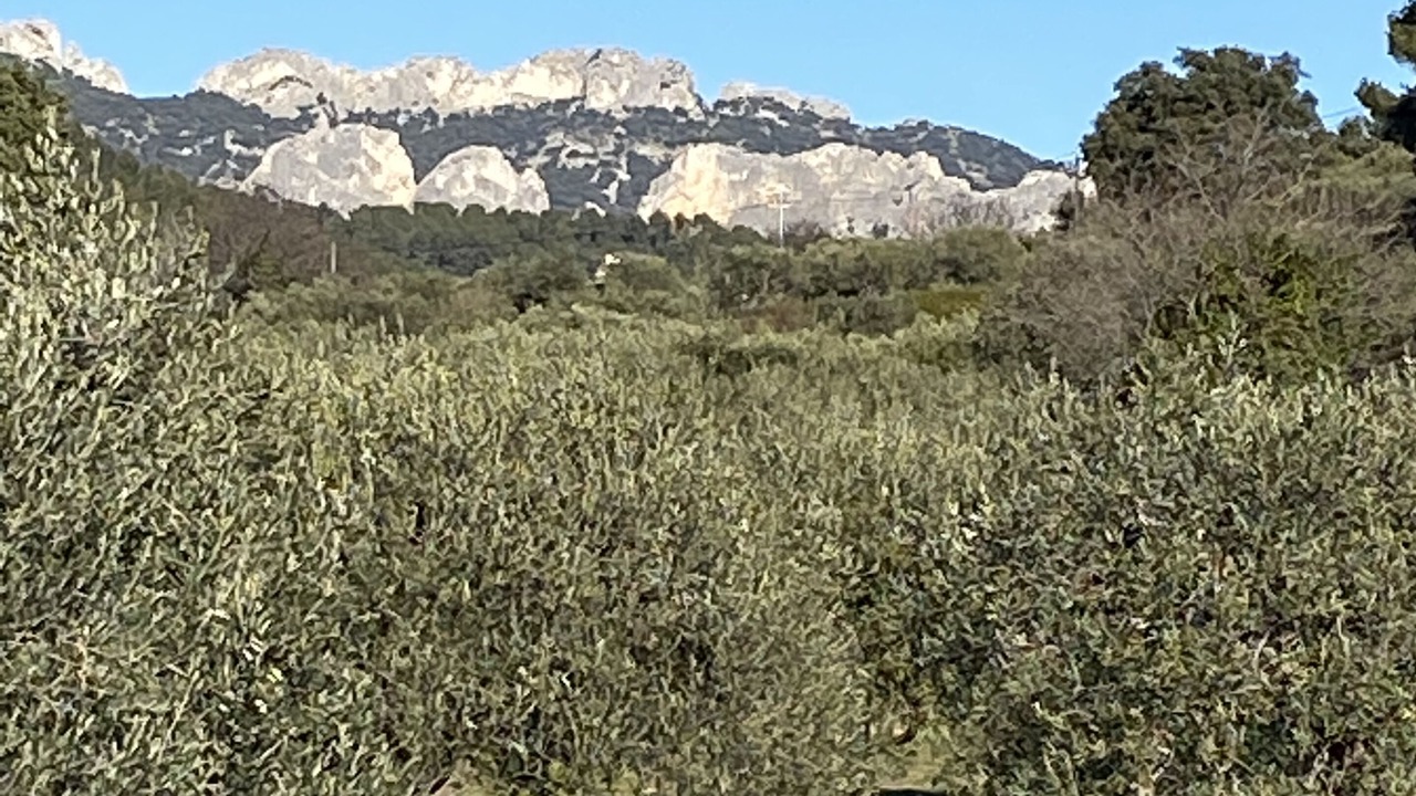 Photo of Outdoor in Aubignan