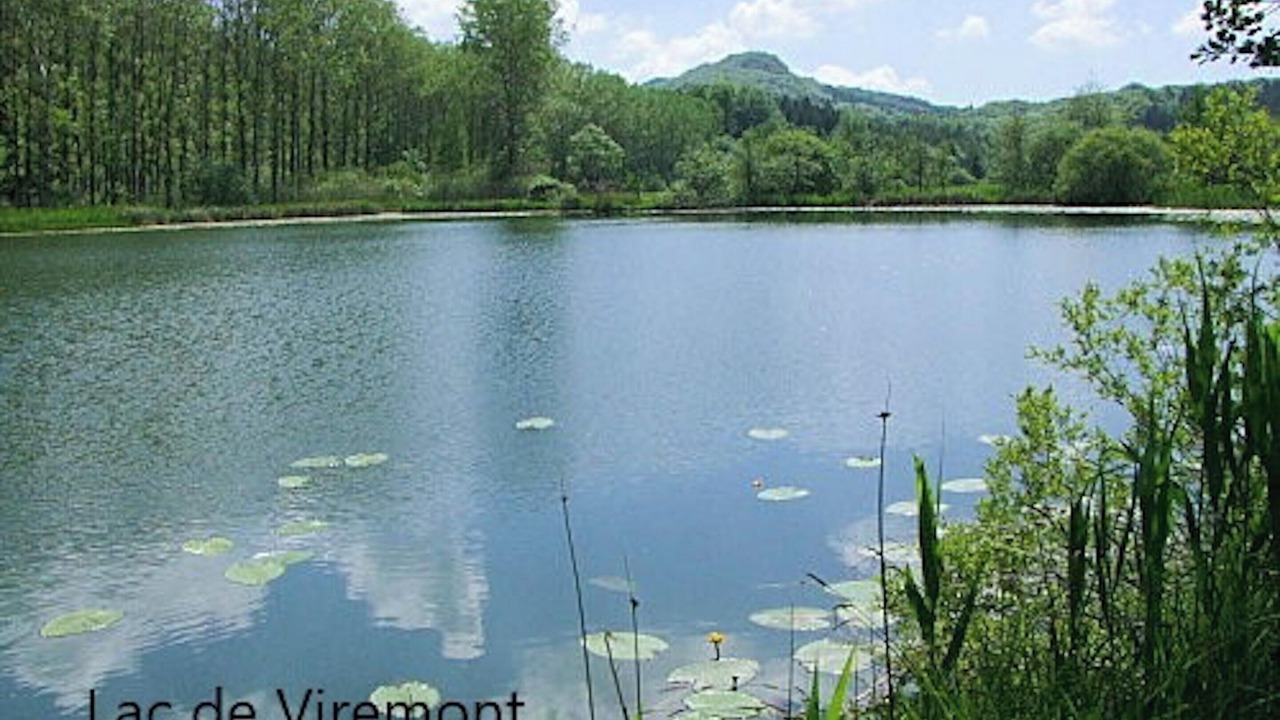 Photo of Others in Arinthod
