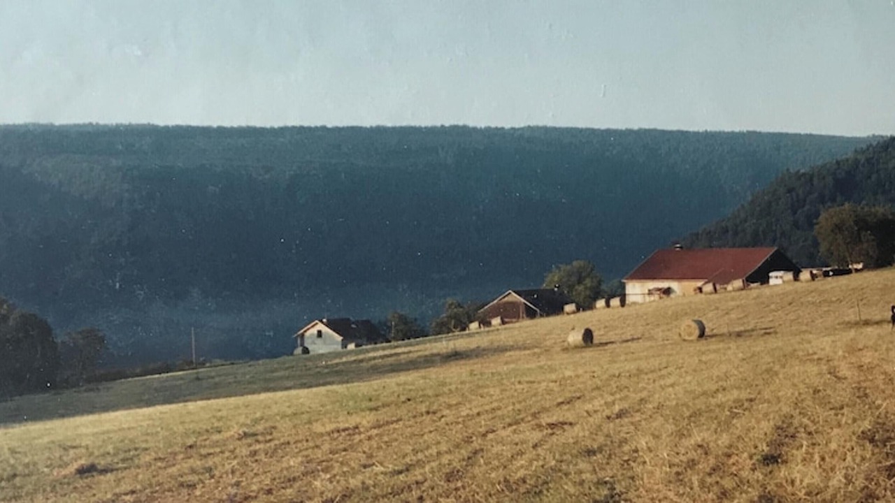 Photo of Others in Vaucluse