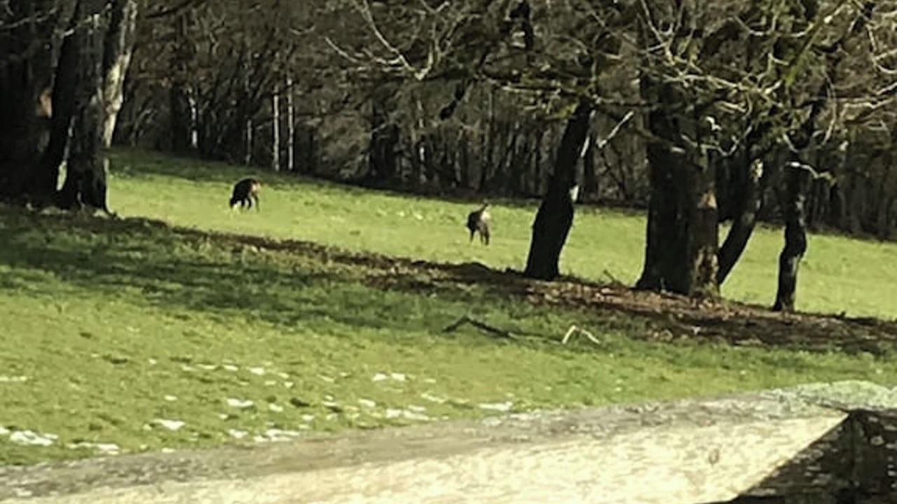 Photo of Outdoor in Vaucluse