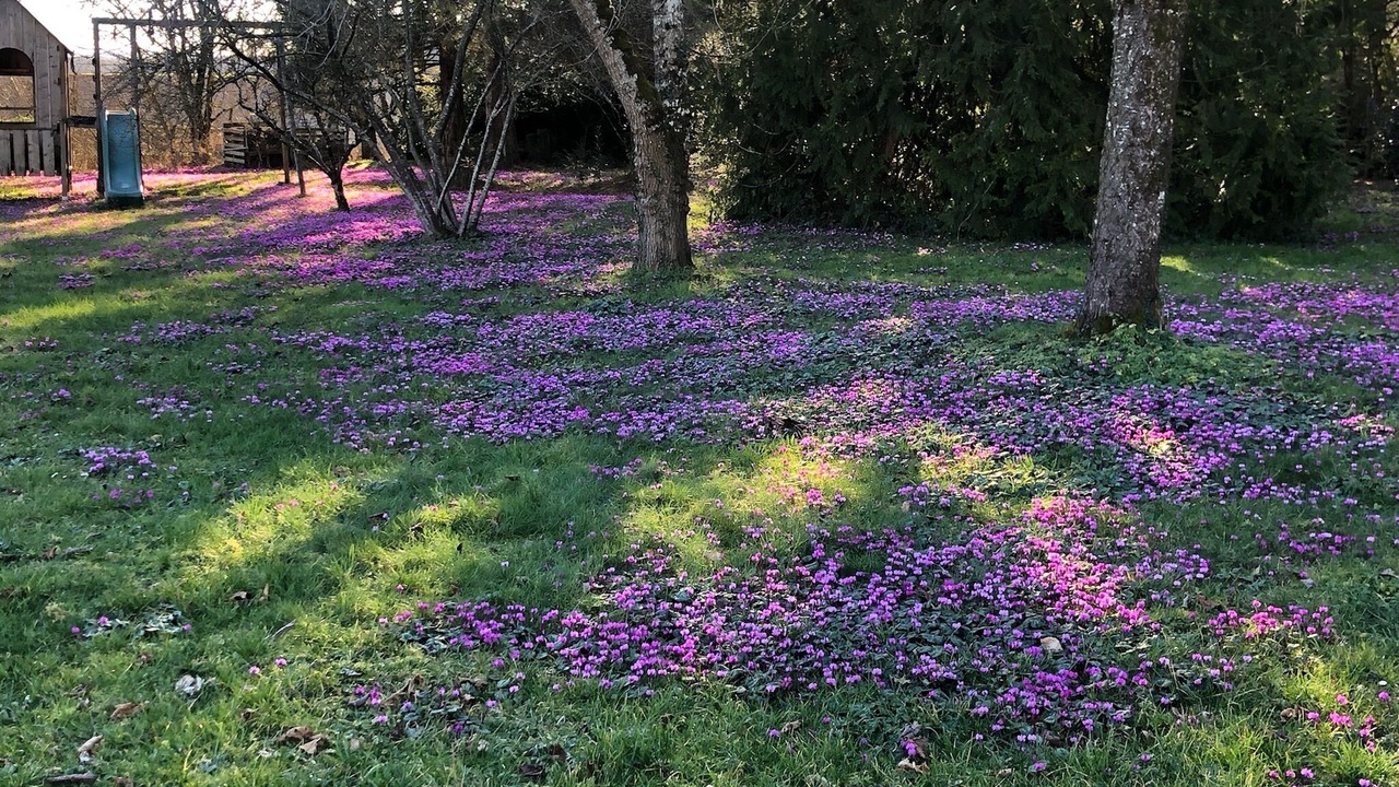 Photo of Outdoor in Taingy