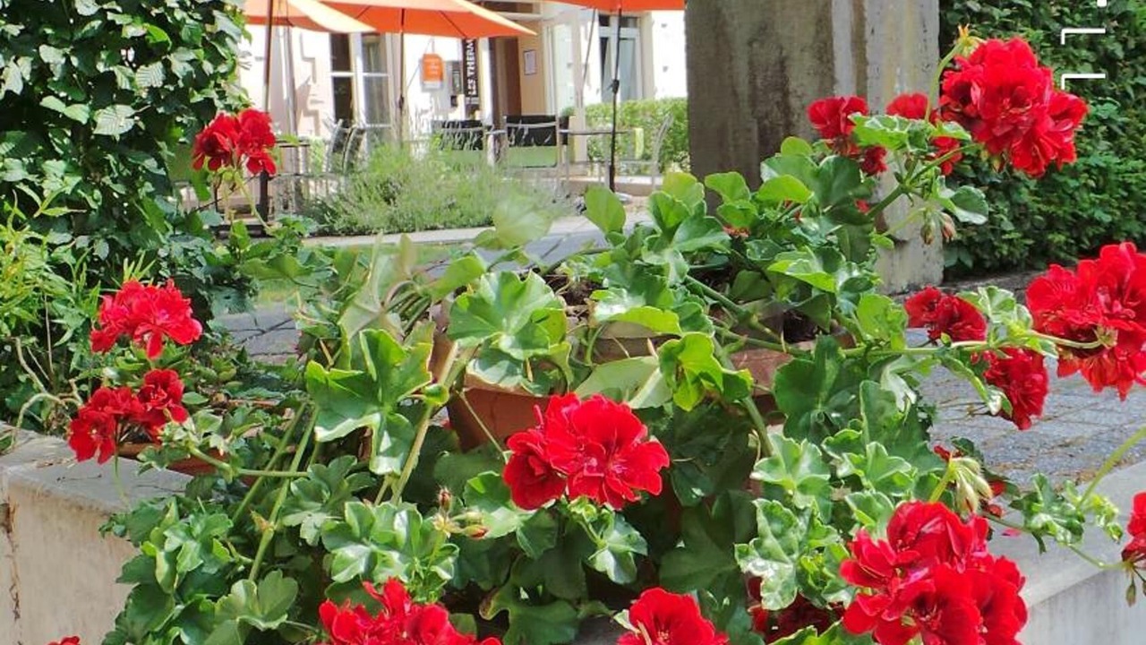 Photo of Outdoor in Luxeuil-les-Bains