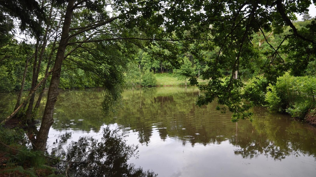 Photo of Outdoor in Saint-Leger-sous-Beuvray