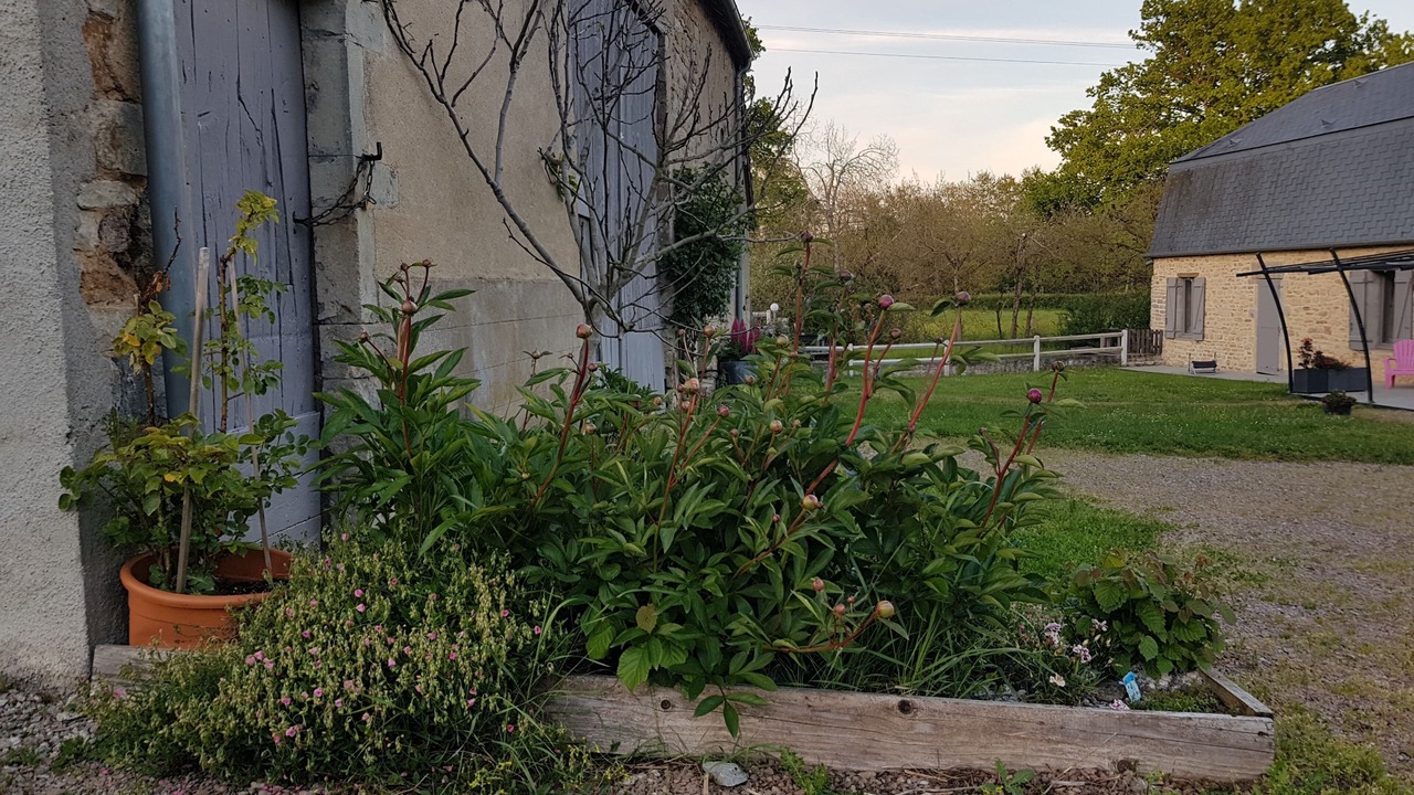 Photo of Outdoor in Montapas