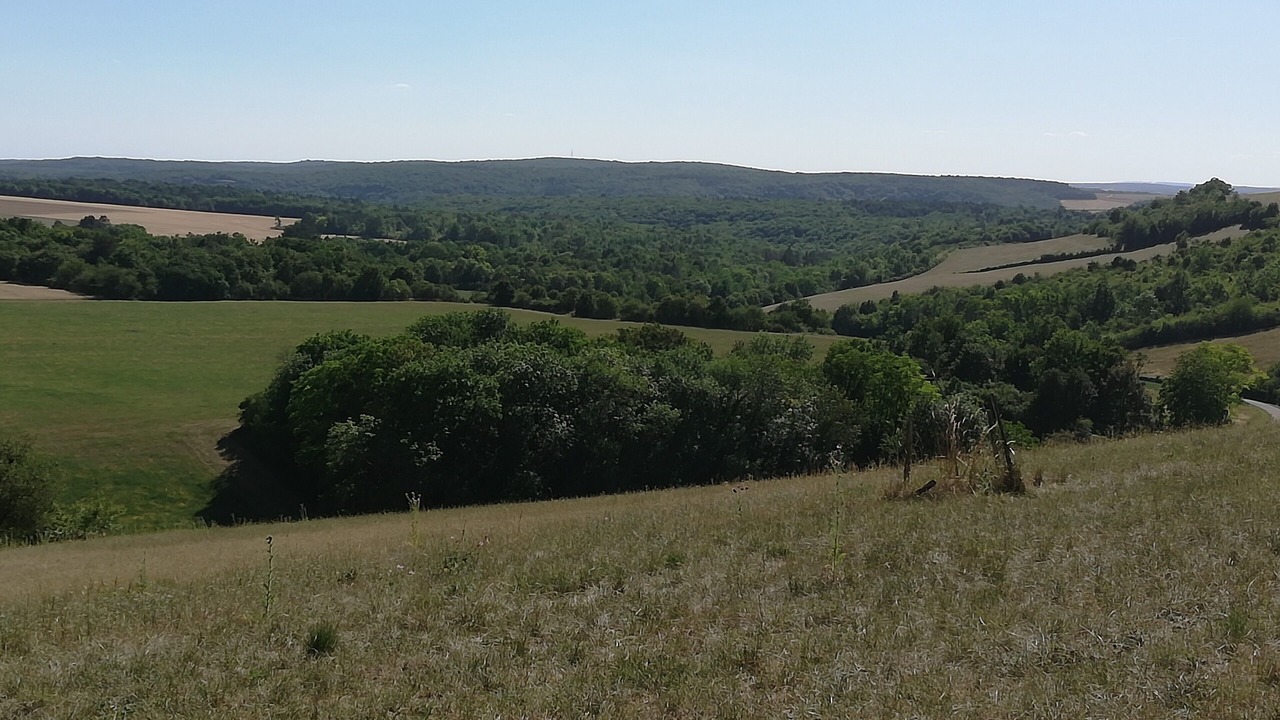 Photo of Outdoor in Precy-le-Sec