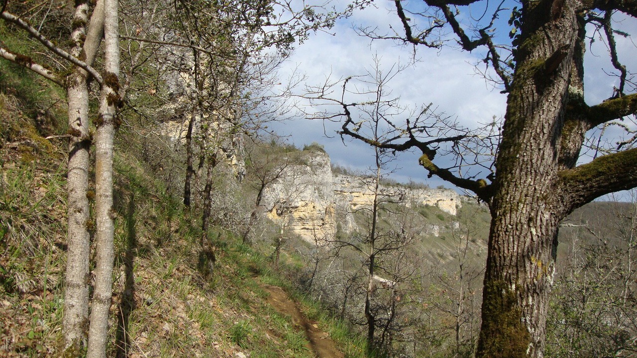 Photo of Others in Precy-le-Sec