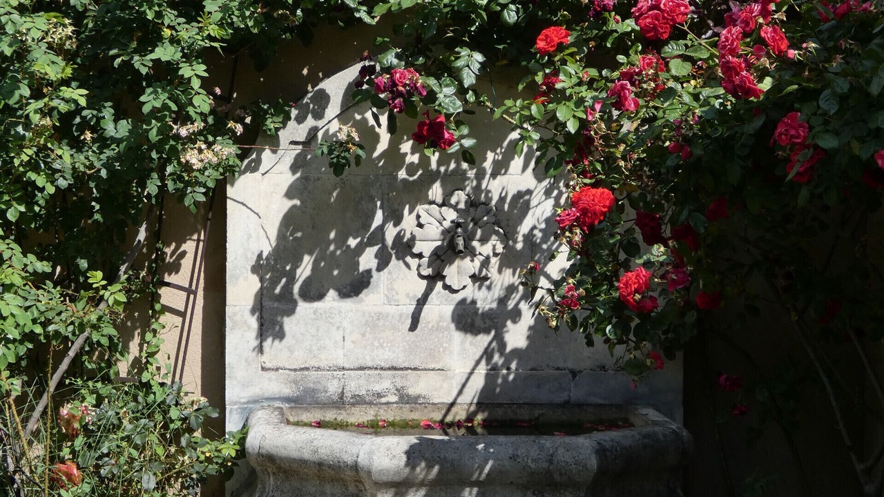 Photo of Outdoor in Rochegude