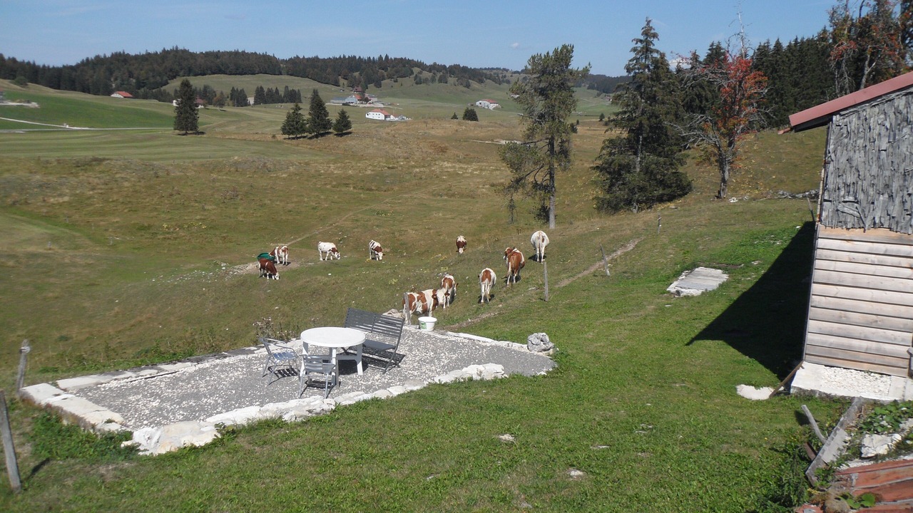 Photo of Outdoor in Bellecombe