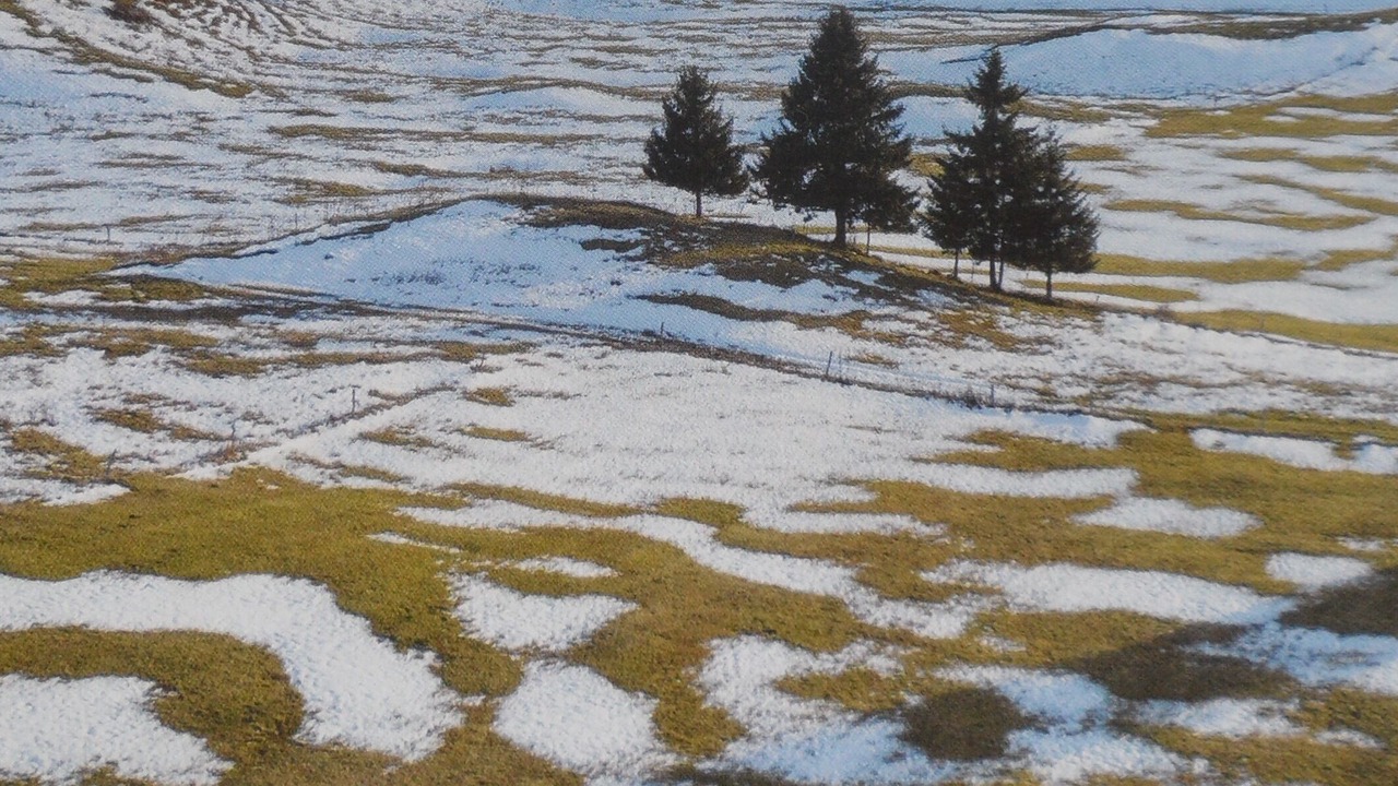 Photo of Outdoor in Bellecombe