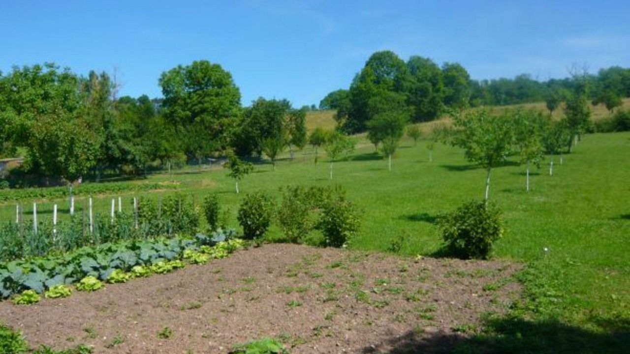 Photo of Outdoor in Velotte-et-Tatignecourt