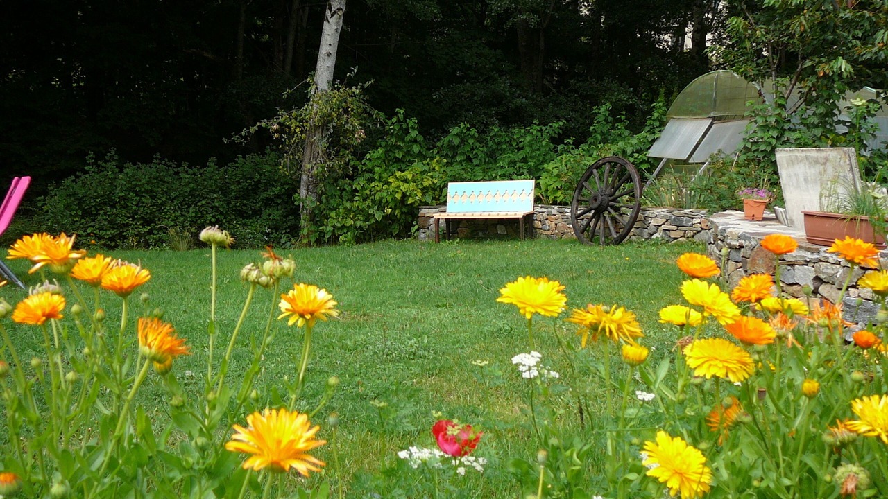 Photo of Outdoor in Saint-Chely-d'Aubrac