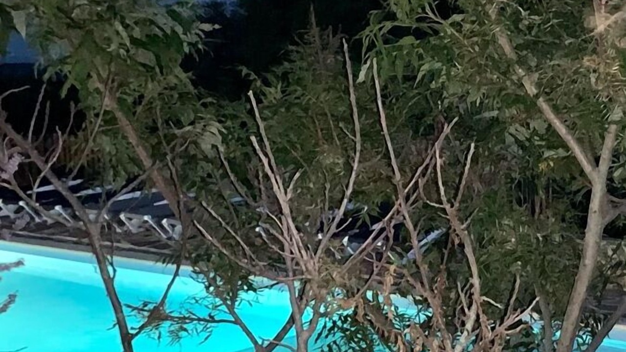 Photo of Outdoor in Veranne