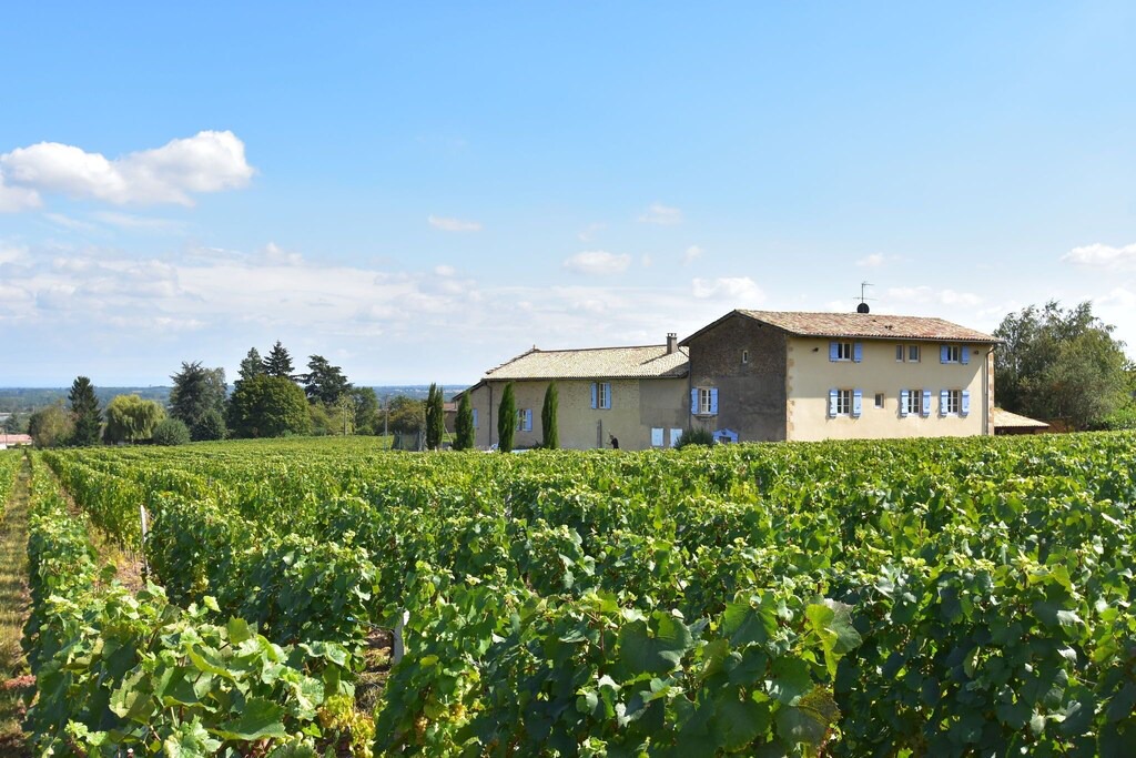 Photo of Others in Chaintre
