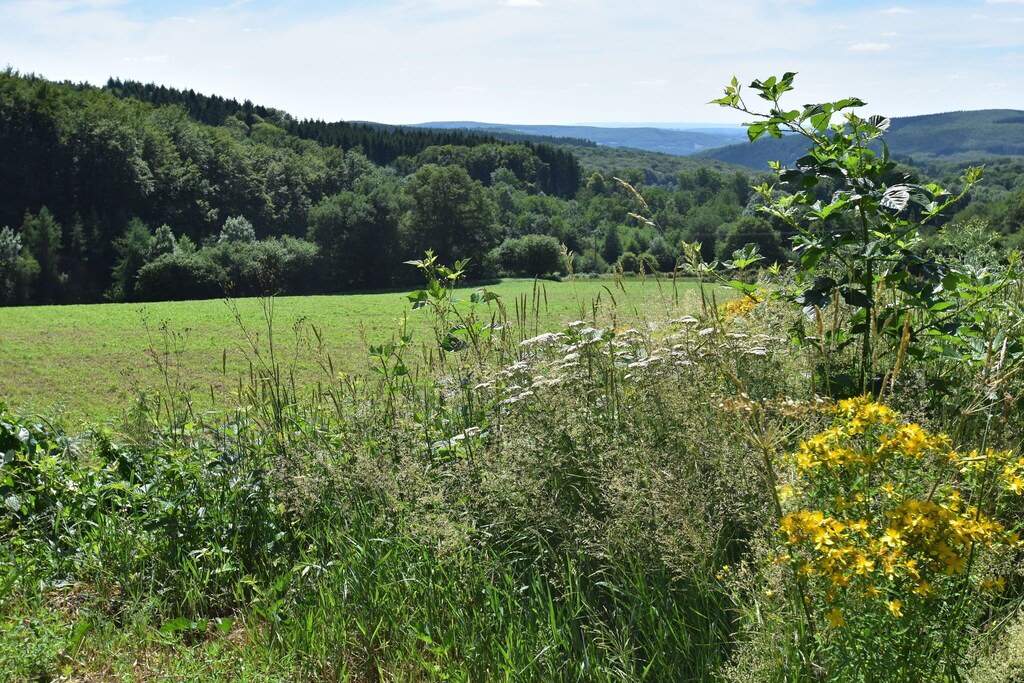 Photo of Outdoor in Cuzy