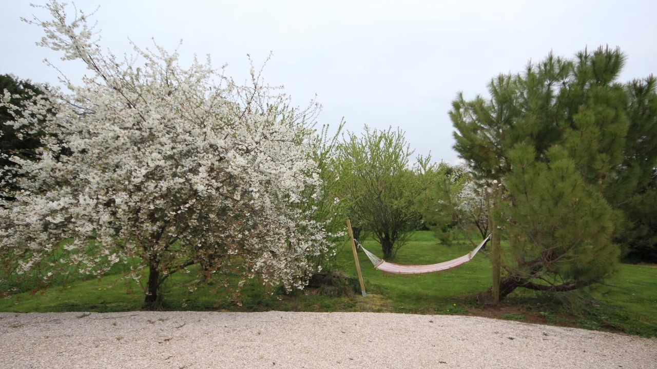 Photo of Outdoor in Charette