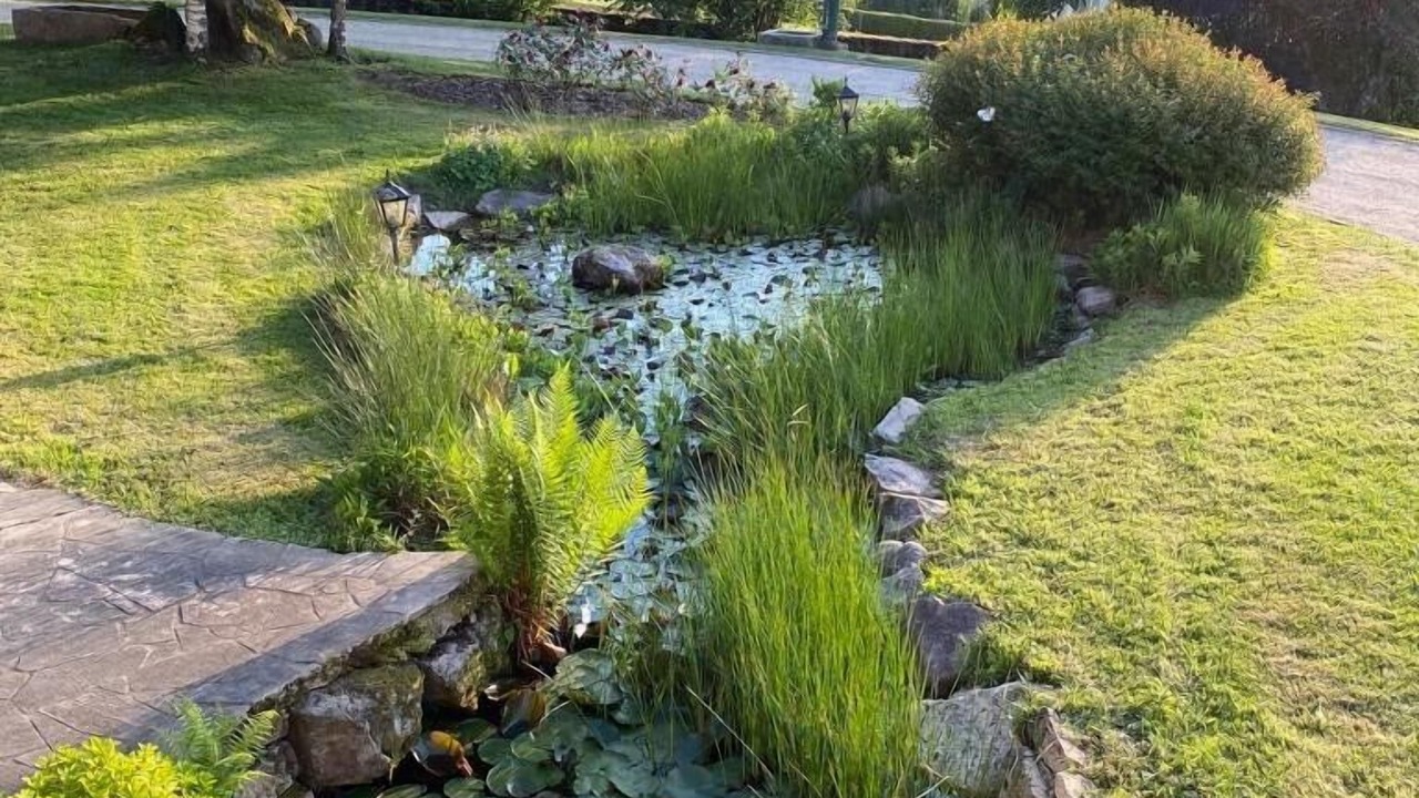 Photo of Outdoor in Saint-Vallier