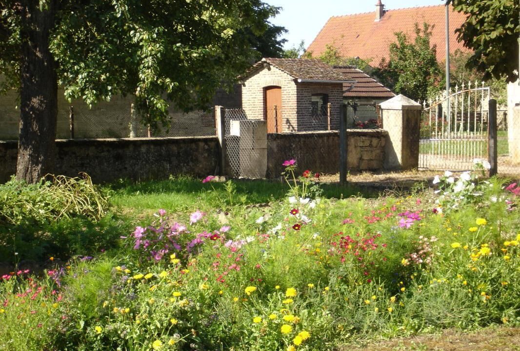 Photo of Outdoor in Pierre-de-Bresse