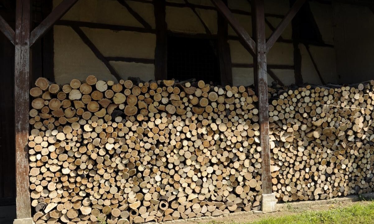 Photo of Outdoor in Pierre-de-Bresse