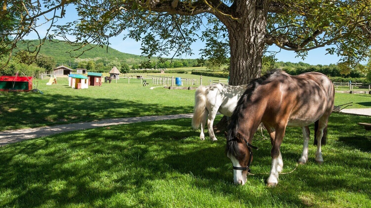 Photo of Outdoor in Etrigny